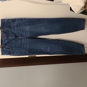 American Eagle Curvy High Rise Jegging Jeans Size 18 Long